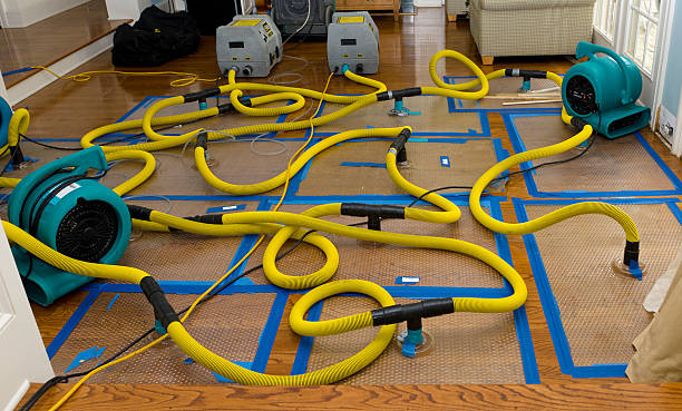 Professional Structural Drying And Dehumidification technician working in Utica, OH